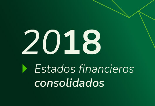Estados Financieros Propuestas Consolidado 2018